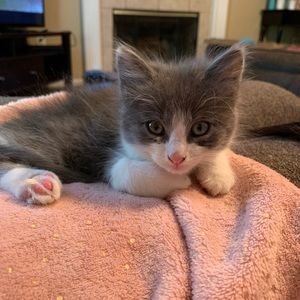 Meet your Posher, Olivia